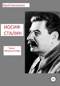 Иосиф Сталин. Мальчик из Гори — Емельянов Юрий Васильевич