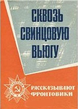 Сквозь свинцовую вьюгу — Пустынцев Николай Петрович