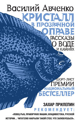 Кристалл в прозрачной оправе. Рассказы о воде и камнях — Авченко Василий Олегович