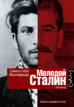 Молодой Сталин — Себаг-Монтефиоре Саймон Джонатан