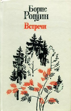 Встречи — Рощин Борис Алексеевич