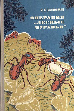 Операция «Лесные муравьи» — Халифман Иосиф Аронович