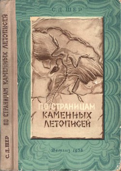 По страницам каменных летописей - Шер Сергей Дмитриевич