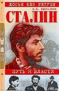 Сталин. Путь к власти — Емельянов Юрий Васильевич