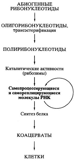 Биосинтез белков, мир РНК и происхождение жизни - Спирин Александр