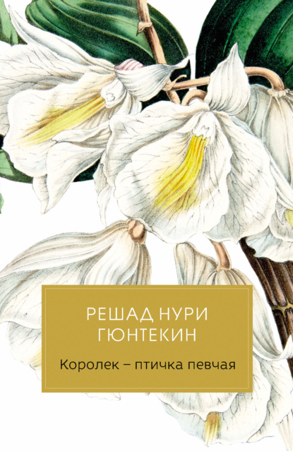 Королек – птичка певчая — Решад Нури Гюнтекин