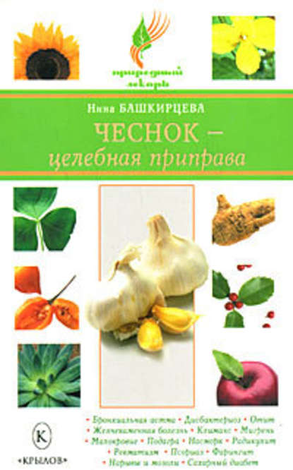 Чеснок – целебная приправа — Нина Башкирцева