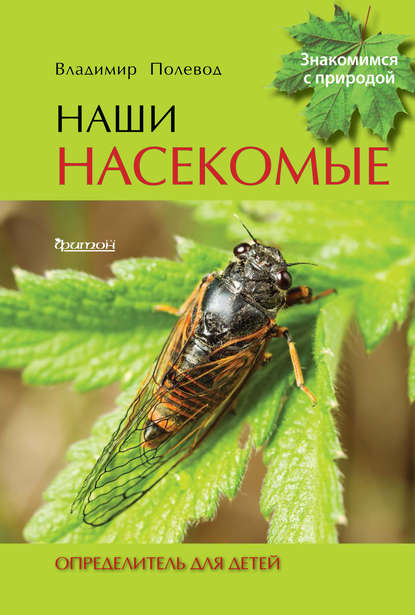 Наши насекомые. Определитель для детей — Владимир Полевод