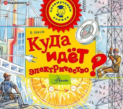 Куда идёт электричество? — Владимир Малов