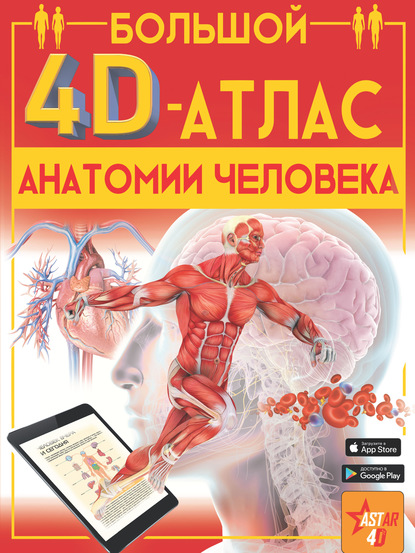 Большой 4D-атлас анатомии человека — А. А. Спектор