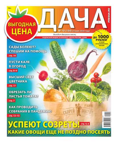 Дача Pressa.ru 10-2020 — Редакция газеты Дача Pressa.ru