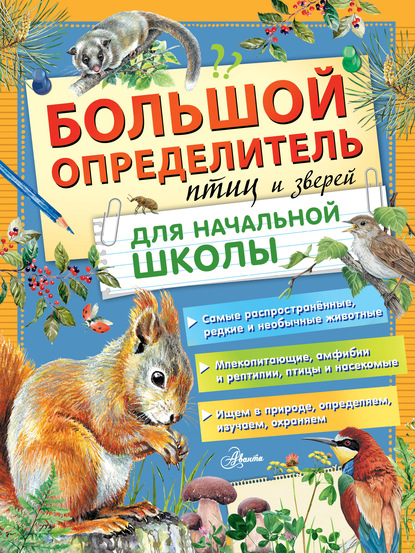 Большой определитель птиц и зверей для начальной школы - П. М. Волцит