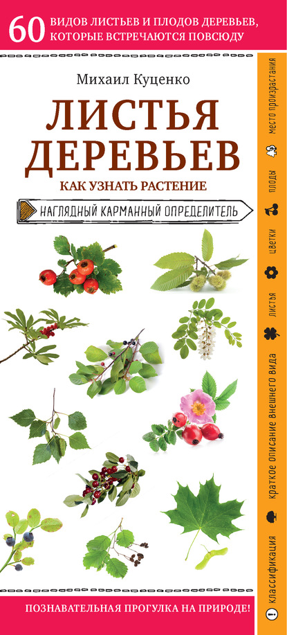 Листья деревьев. Как узнать растение — Михаил Куценко