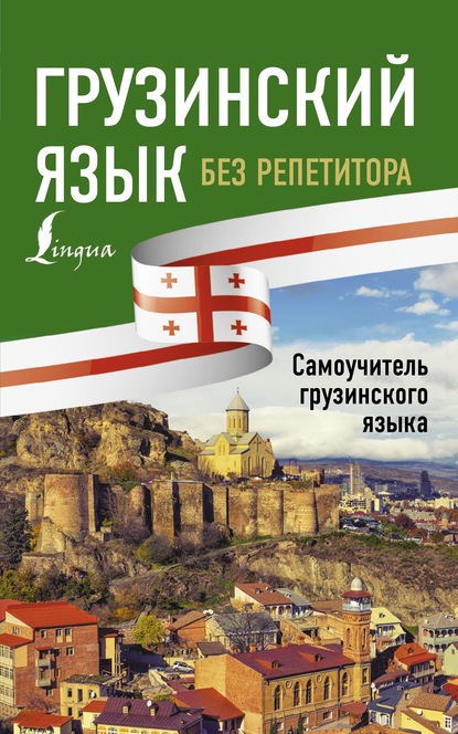 Грузинский язык без репетитора. Самоучитель грузинского языка — А. А. Ростовцев-Попель