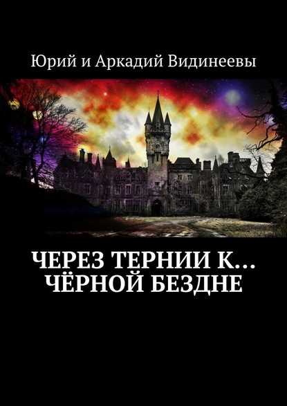 Через тернии к… чёрной бездне — Юрий и Аркадий Видинеевы