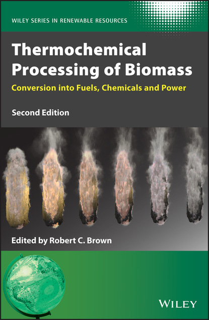 Thermochemical Processing of Biomass - Группа авторов