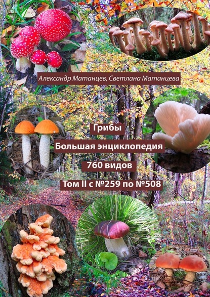 Грибы. Большая энциклопедия. 760 видов. Том II с №259 по №508 — Александр Матанцев