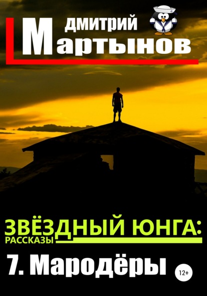 Звёздный юнга: 7. Мародёры — Дмитрий Мартынов