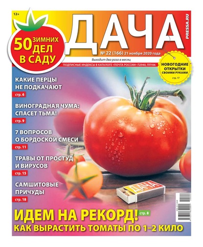 Дача Pressa.ru 22-2020 - Редакция газеты Дача Pressa.ru