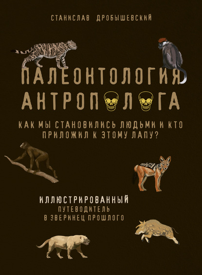 Палеонтология антрополога. Иллюстрированный путеводитель в зверинец прошлого - Станислав Дробышевский