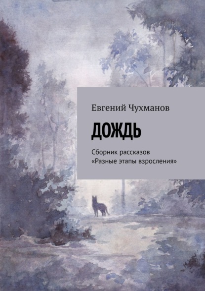 Дождь. Сборник рассказов «Разные этапы взросления» — Евгений Чухманов