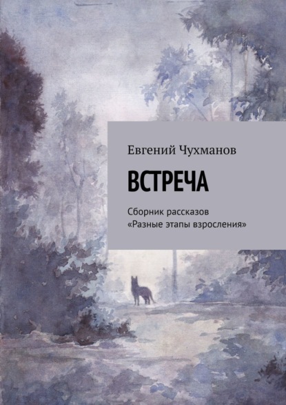 Встреча. Сборник рассказов «Разные этапы взросления» — Евгений Чухманов