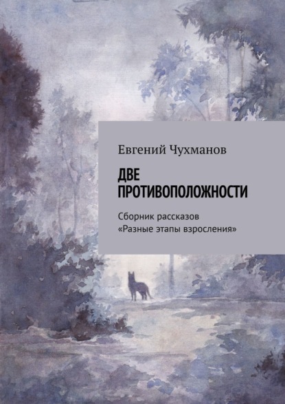 Две противоположности. Сборник рассказов «Разные этапы взросления» - Евгений Чухманов