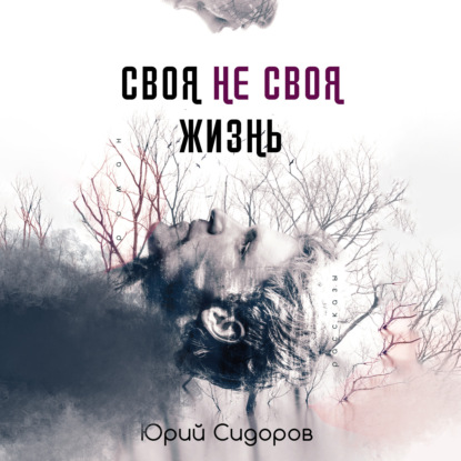 Своя не своя жизнь — Юрий Сидоров