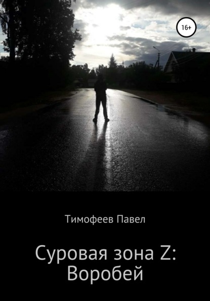 Суровая зона Z: Воробей — Павел Сергеевич Тимофеев