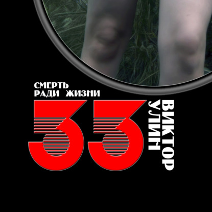 33 - Виктор Улин