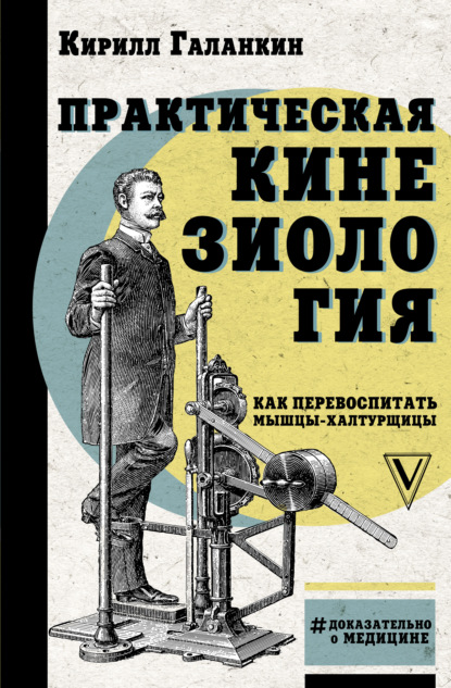 Практическая кинезиология. Как перевоспитать мышцы-халтурщицы — Кирилл Галанкин