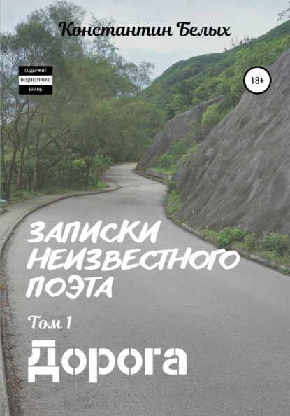 Записки неизвестного поэта. Том 1. Дорога — Константин Белых