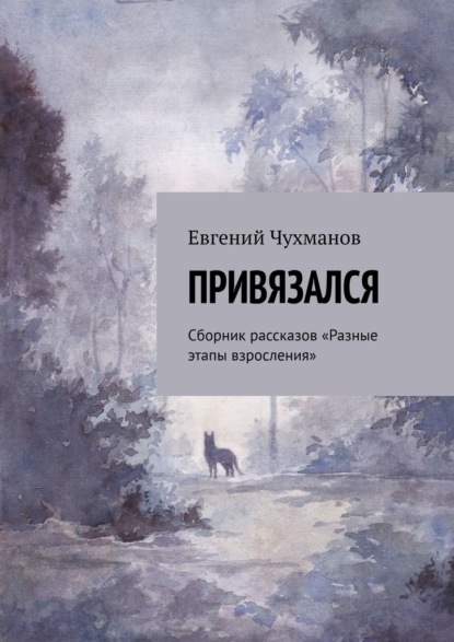 Привязался. Сборник рассказов «Разные этапы взросления» - Евгений Чухманов