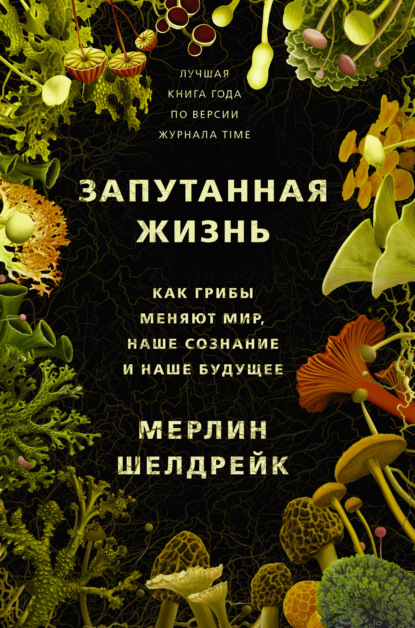 Запутанная жизнь. Как грибы меняют мир, наше сознание и наше будущее — Мерлин Шелдрейк