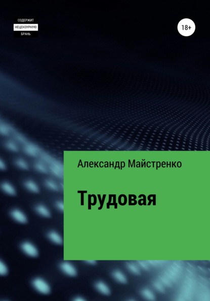 Трудовая - Александр Анатольевич Майстренко