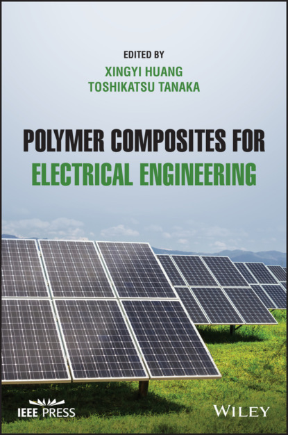 Polymer Composites for Electrical Engineering - Группа авторов