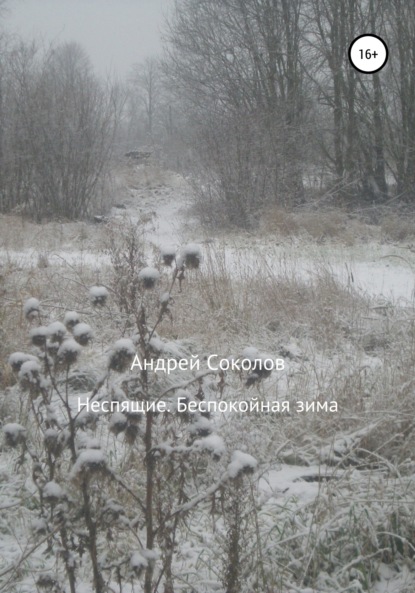 Неспящие. Беспокойная зима — Андрей Николаевич Соколов