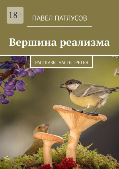 Вершина реализма. Рассказы. Часть третья — Павел Патлусов