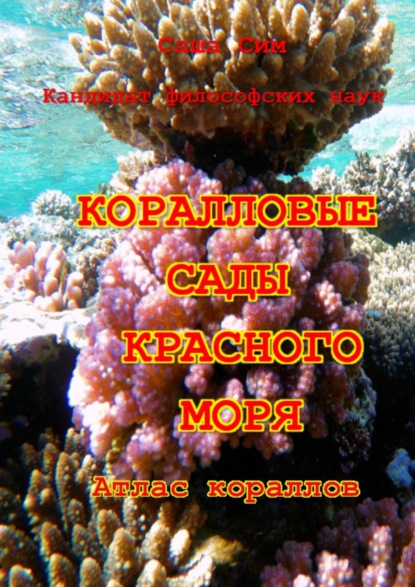 Коралловые сады Красного моря. Атлас кораллов — Саша Сим