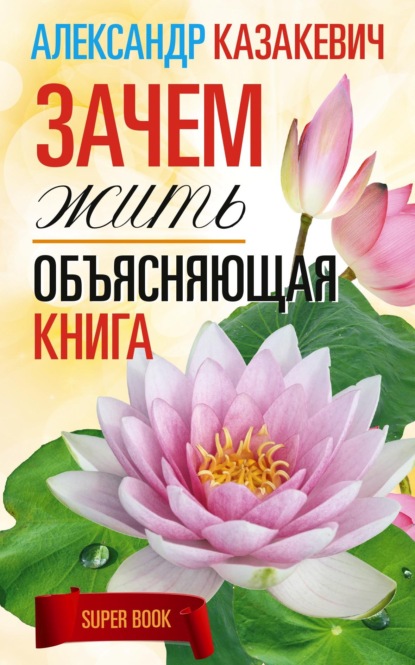 Зачем жить. Объясняющая книга — Александр Казакевич