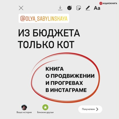 Из бюджета только кот. Книга о продвижении и прогревах в инстаграме - Оля Сабылинская