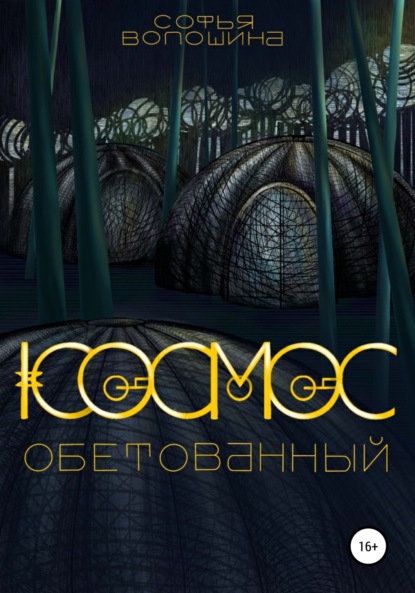 Космос обетованный - Софья Вячеславовна Волошина