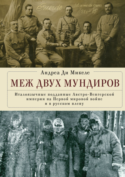 Меж двух мундиров. Италоязычные подданные Австро-Венгерской империи на Первой мировой войне и в русском плену — Андреа Ди Микеле