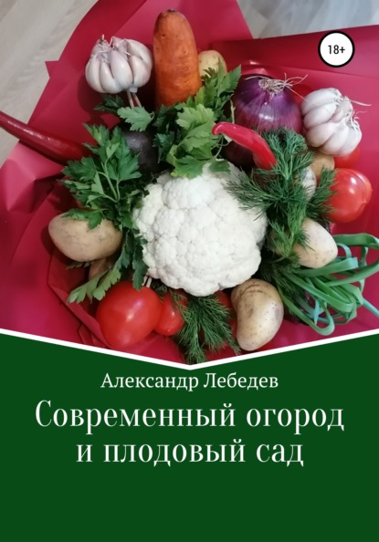 Современный огород и плодовый сад — Александр Николаевич Лебедев