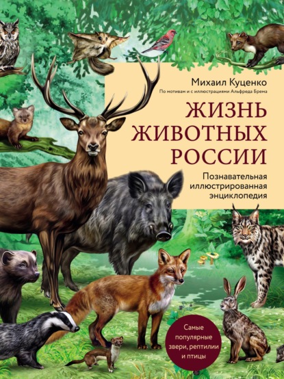 Жизнь животных России. Познавательная иллюстрированная энциклопедия - Михаил Куценко