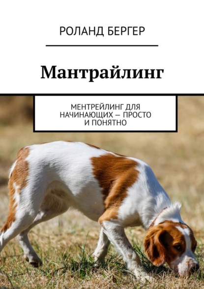 Мантрайлинг. Ментрейлинг для начинающих – просто и понятно — Роланд Бергер