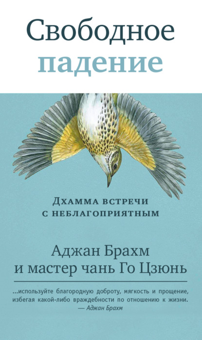 Свободное падение. Дхамма встречи с неблагоприятным — Аджан Брахм