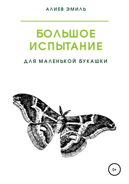 Большое испытание для маленькой букашки - Эмиль Алиев