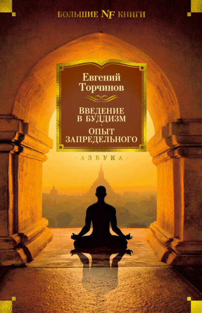 Введение в буддизм. Опыт запредельного - Евгений Торчинов