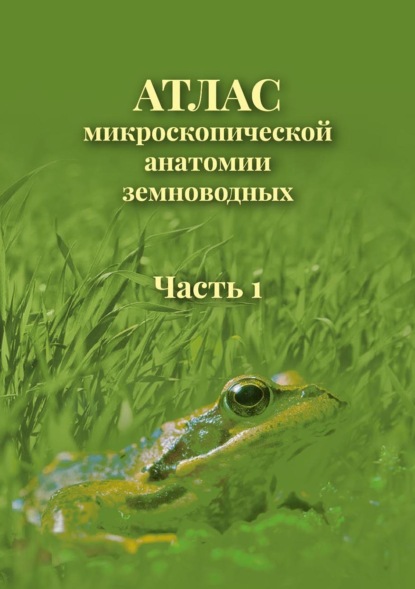 Атлас микроскопической анатомии земноводных. Часть 1 — В. В. Ярцев